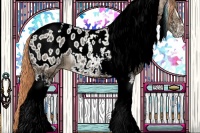 Horse Color:Chocolate Amber Champagne Ice Pearl Sabino Tobiano Appaloosa 