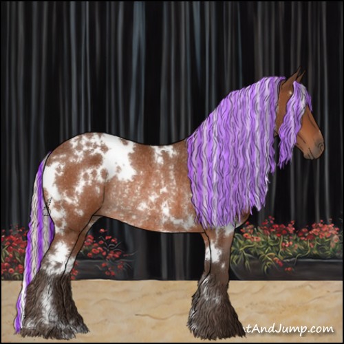 Horse Color:Painted White Spotted Silver Bay Rabicano