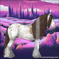 Horse Color:Classic Champagne Ice Sabino Blanket 