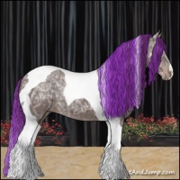 Horse Color:Painted Liver Chestnut Ice Tobiano 