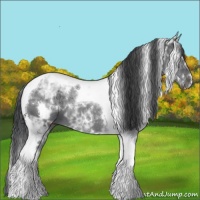 Horse Color:White Spotted Black Ice Tobiano 