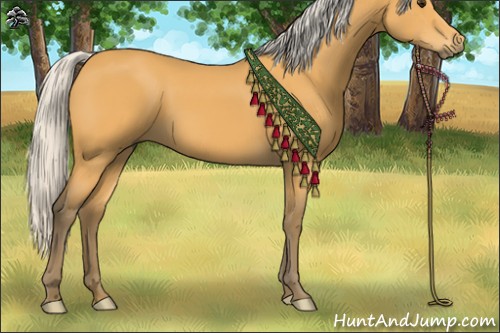 Horse Color:Silver Buckskin 
