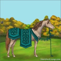 Horse Color:Smoky Black Pearl 