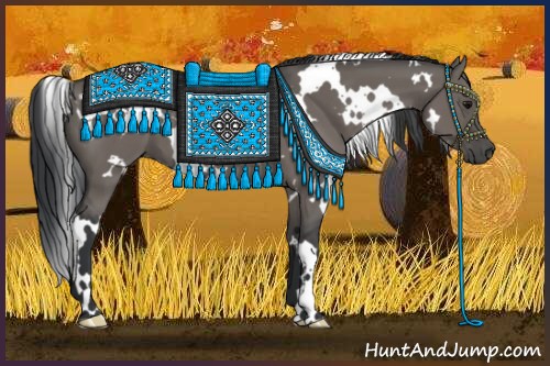 Horse Color:White Spotted Grullo 