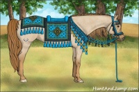 Horse Color:Red Dun Roan 