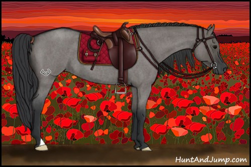 Horse Color:Grullo Roan 