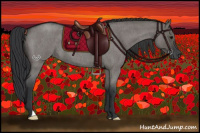 Horse Color:Grullo Roan 