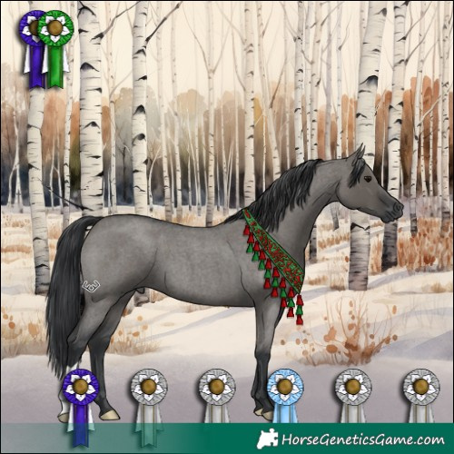 Horse Color:Grullo Roan 