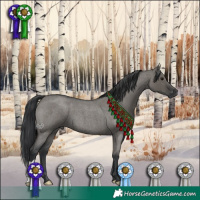 Horse Color:Grullo Roan