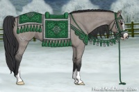 Horse Color:Grullo Roan Sabino 