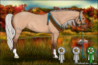 Horse Color:Silver Bay Roan Dun 