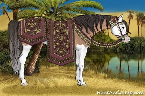 Horse Color:Bay Dun Splash 