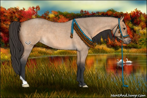 Horse Color:Bay Roan Dun 