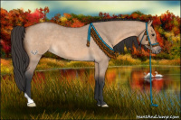 Horse Color:Bay Roan Dun 