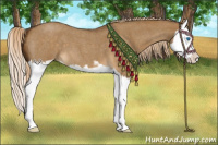 Horse Color:Chocolate Palomino Roan Dun Sabino Splash 