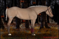 Horse Color:Silver Brown Dun 
