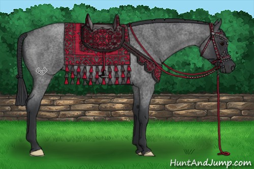 Horse Color:Blue Roan 