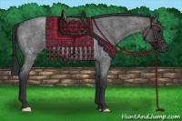 Horse Color:Blue Roan 