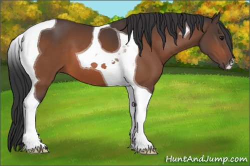 Horse Color:Bay Tobiano 
