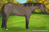 Horse Color:Smoky Grullo 