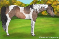 Horse Color:Bay Tobiano 