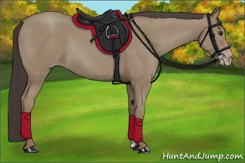 Horse Color:Classic Champagne Rabicano
