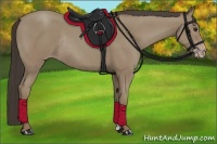 Horse Color:Classic Champagne Rabicano