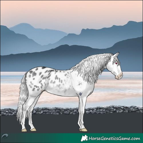 Horse Color:Brown Chinchilla Dun Varnish Brindle