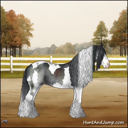 Horse Color:Black Chinchilla Splash Tobiano Rabicano 