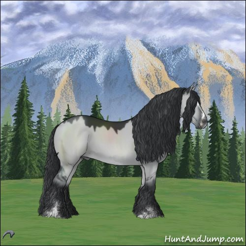 Horse Color:Grullo Chinchilla Sabino