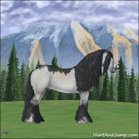 Horse Color:Grullo Chinchilla Sabino 