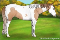 Horse Color:Brown Pearl Splash Tobiano 