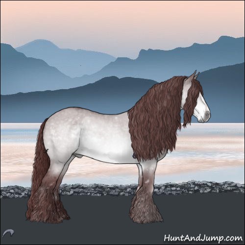 Horse Color:Chocolate Buckskin Chinchilla Roan Dun 