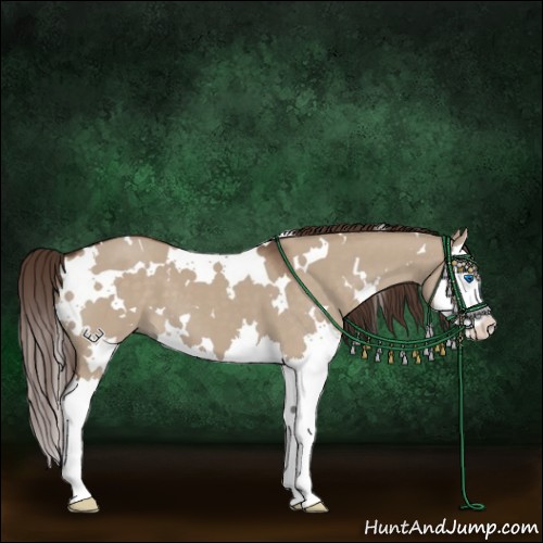 Horse Color:White Spotted Liver Red Dun Splash 