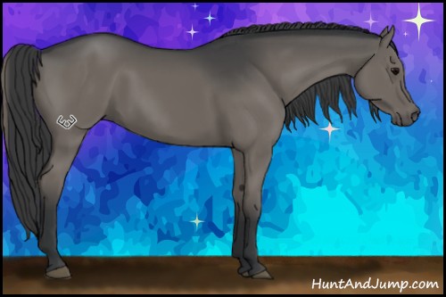 Horse Color:Grullo