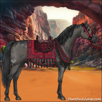 Horse Color:Grullo Brindle 