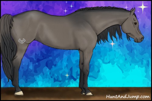 Horse Color:Grullo Brindle