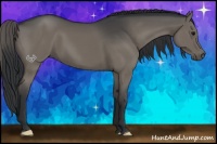 Horse Color:Grullo Brindle