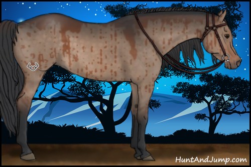 Horse Color:Brown Dun Brindle 