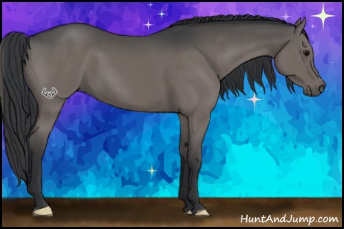 Horse Color:Grullo