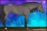 Horse Color:Grullo 