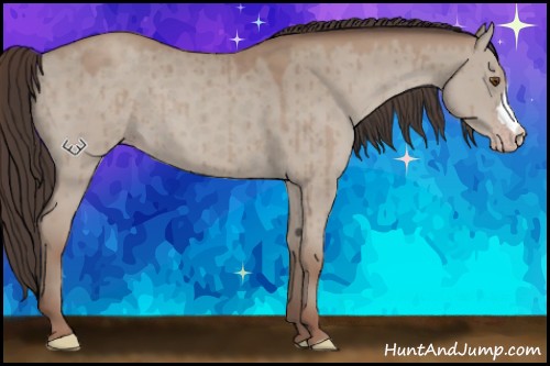 Horse Color:Classic Champagne Dun Brindle 