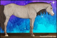 Horse Color:Classic Champagne Dun Brindle 