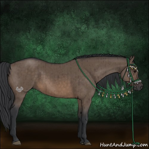 Horse Color:Brown Dun Brindle