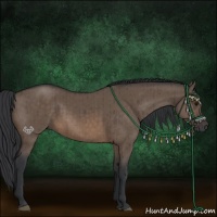 Horse Color:Brown Dun Brindle 