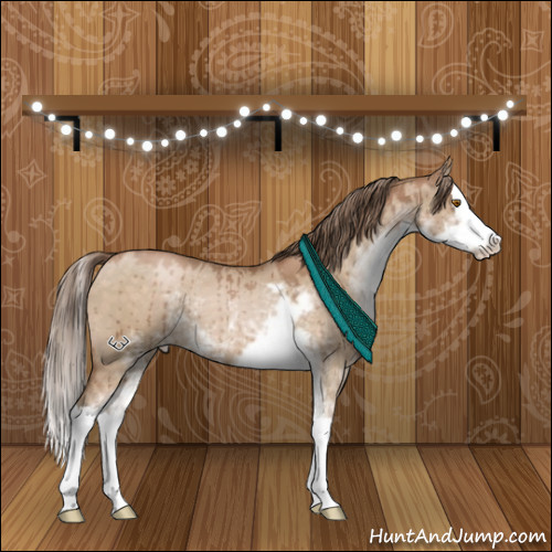 Horse Color:Brown Pearl Dun Sabino Splash Brindle 