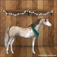 Horse Color:Brown Pearl Dun Sabino Splash Brindle