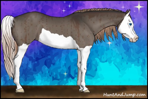 Horse Color:Liver Red Dun Splash Brindle 