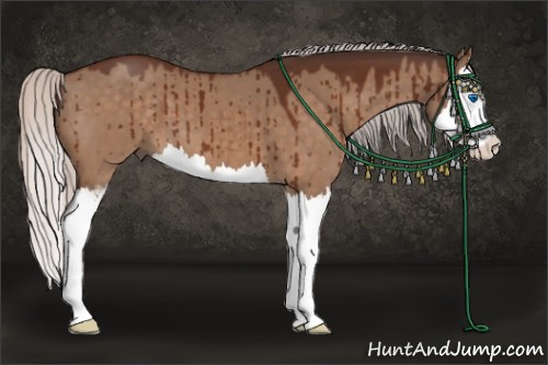 Horse Color:Silver Brown Dun Sabino Splash Brindle 