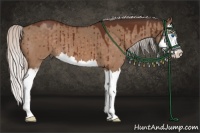 Horse Color:Silver Brown Dun Sabino Splash Brindle 
